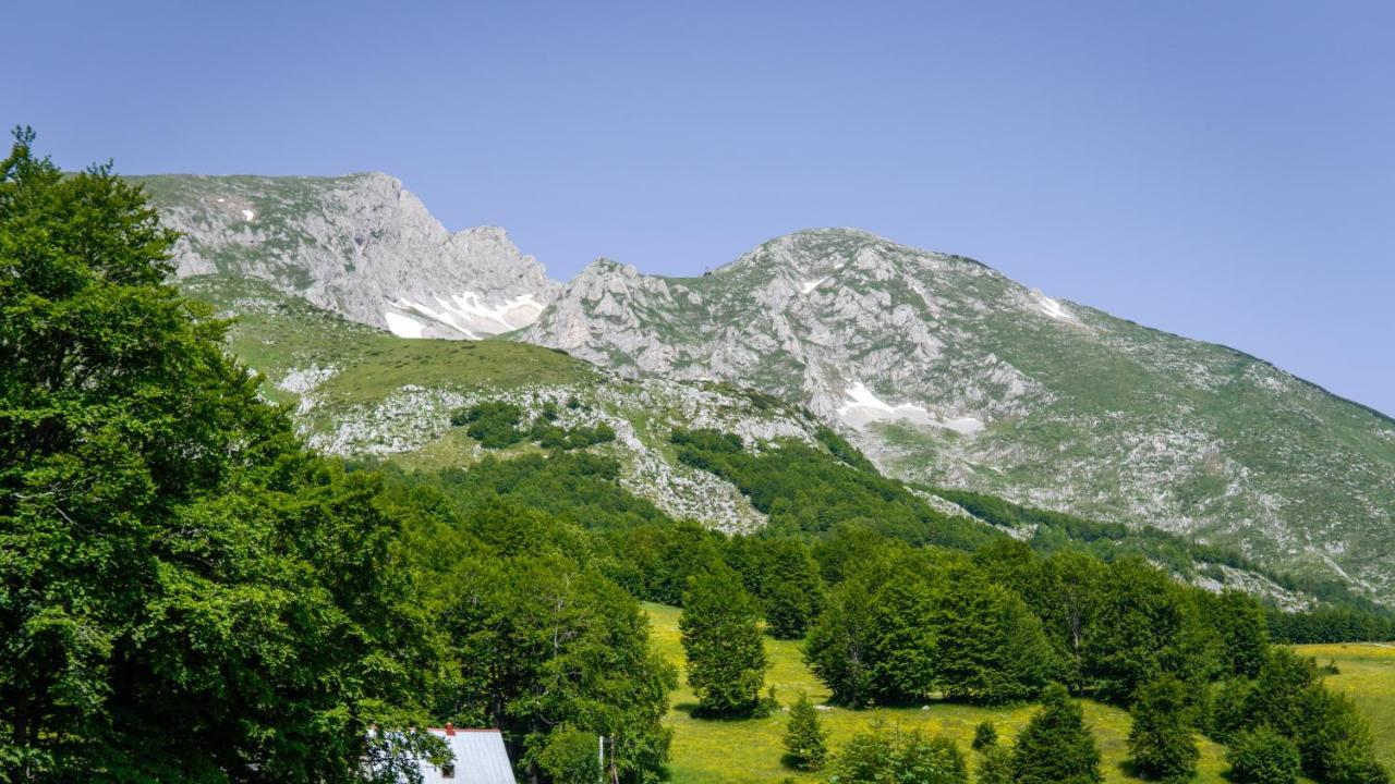 Mountain House Drveni Raj Villa Žabljak Екстериор снимка